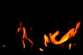 Warm dancing flames on a black background