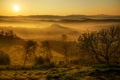 Warm dawn on tuscan countryside Royalty Free Stock Photo