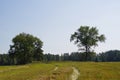 Warm day in September. Compressed field and view of the sky. Horizon. Forest and clouds. Royalty Free Stock Photo