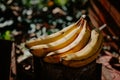 Warm daylight caresses a banana in the green african garden