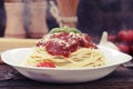 Warm, delicious spaghetti with sauce and basil. Royalty Free Stock Photo