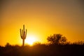 A Warm Desert Sunset Under a Cloudless Sky Royalty Free Stock Photo