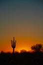 A Warm Desert Sunset Under a Cloudless Sky Royalty Free Stock Photo