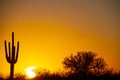 A Warm Desert Sunset Under a Cloudless Sky Royalty Free Stock Photo