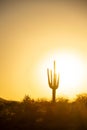 A Warm Desert Sunset Under a Cloudless Sky Royalty Free Stock Photo