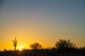 A Warm Desert Sunset Under a Cloudless Sky Royalty Free Stock Photo