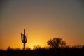 A Warm Desert Sunset Under a Cloudless Sky Royalty Free Stock Photo