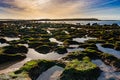 Warm evening light over a wild sand and rock beach with tidal pools and seagulls flying Royalty Free Stock Photo