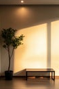 Sunlight casts warm shadows over a minimalist room with a plant and a table in the evening Royalty Free Stock Photo