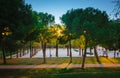 Warm evening during sunset in park Turia. Valenica, Spain Royalty Free Stock Photo