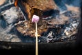 A Warm Fire With a Marshmellow Royalty Free Stock Photo