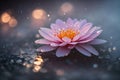 A radiant pink lotus blossom bathed in sunlight, adorned with delicate dewdrops