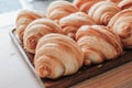 Warm Fresh Buttery Croissants and Rolls. French and American Croissants and Baked Pastries Royalty Free Stock Photo