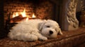 Warm and fuzzy puppy snoozing by fireplace