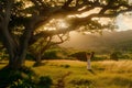 Woman in white dress rejoicing under an expansive tree at sunset