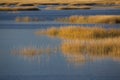 Warm glow of sunset on marsh at Milford Point, Connecticut. Royalty Free Stock Photo