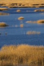 Warm glow of sunset on marsh at Milford Point, Connecticut. Royalty Free Stock Photo