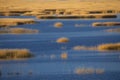 Warm glow of sunset on marsh at Milford Point, Connecticut. Royalty Free Stock Photo