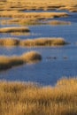 Warm glow of sunset on marsh at Milford Point, Connecticut. Royalty Free Stock Photo