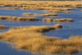 Warm glow of sunset on marsh at Milford Point, Connecticut. Royalty Free Stock Photo