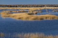 Warm glow of sunset on marsh at Milford Point, Connecticut. Royalty Free Stock Photo