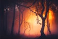 Warm glow Winter Fall Autumn forest woods with path sunset Royalty Free Stock Photo