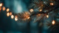 Warm Christmas Lights Adorning Pine Tree Branches with Bokeh Royalty Free Stock Photo