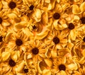 Warm Golden Floral Texture Dried Petals Background Pattern Royalty Free Stock Photo