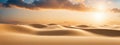 Desert Dunes in Golden Sunset Light Royalty Free Stock Photo