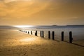 Warm golden sunrise over the beach breakers