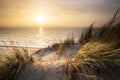 Warm golden sunset over north sea beach Royalty Free Stock Photo