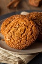 Warm Homemade Gingersnap Cookies Royalty Free Stock Photo