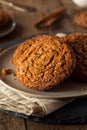 Warm Homemade Gingersnap Cookies Royalty Free Stock Photo