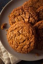 Warm Homemade Gingersnap Cookies Royalty Free Stock Photo