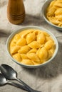 Warm Homemade Macaroni and Cheese Pasta Shells Royalty Free Stock Photo