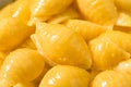 Warm Homemade Macaroni and Cheese Pasta Shells Royalty Free Stock Photo