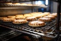 warm homemade pies cooling on a bakery rack