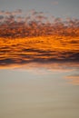 Warm horizontal golden orange clouds during sunset Royalty Free Stock Photo