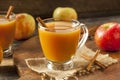 Warm Hot Apple Cider Royalty Free Stock Photo