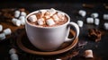 Warm Hot Chocolate With Fluffy Marshmallows Royalty Free Stock Photo