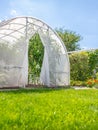 Warm house with tomatoes in private house garden in back yard Royalty Free Stock Photo