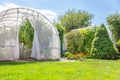 Warm house with vegetables in private garden in back yard Royalty Free Stock Photo