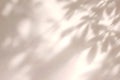 Warm Leaf Shadow Background With Beige Tones And Soft Sunlight For Elegant Branding Use Royalty Free Stock Photo