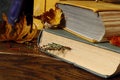 Warm memories of a bygone autumn: a stack of old books with dry leaf bookmarks, close-up