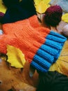 Warm multi-colored woolen socks and autumn leaves