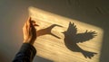 Shadow Puppet Story of a Bird in Danger Royalty Free Stock Photo