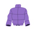 Warm puffer jacket in sport style. Short winter outerwear, sportive clothes, apparel. Padded wearing for autumn season