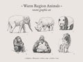 Warm region animals vintage illustration set