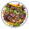 Warm salad with chicken liver Royalty Free Stock Photo