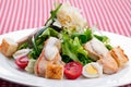 Warm salad with chicken meat Royalty Free Stock Photo